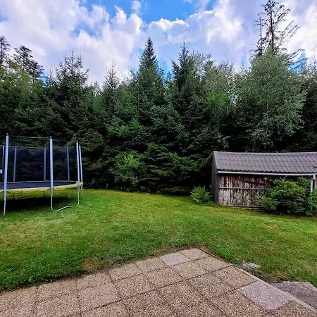 Dağ evi Chalet Du Pont Des Fees Gérardmer